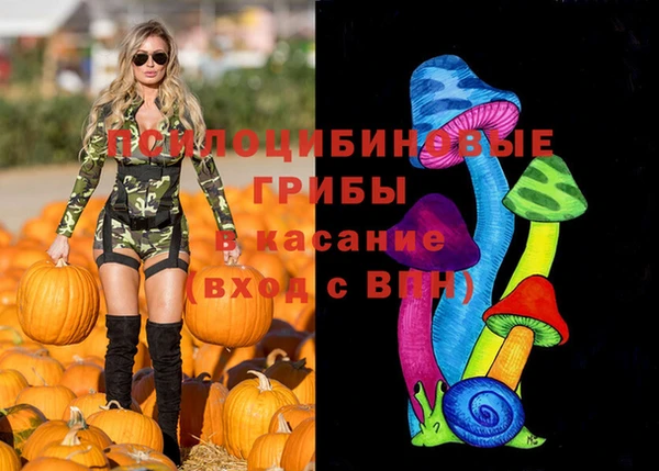дживик Навашино