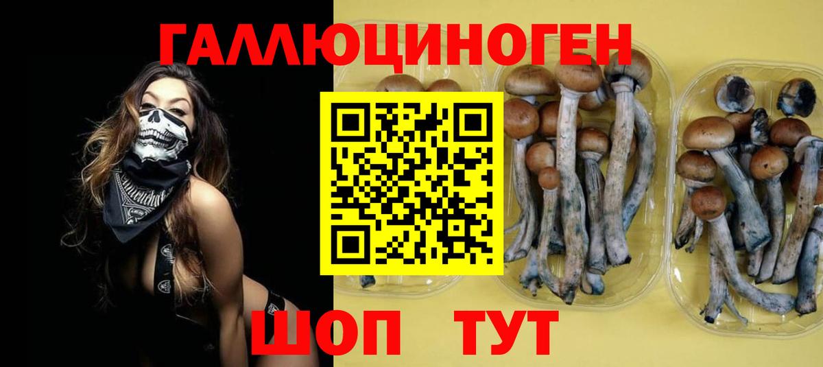 Галлюциногенные грибы Psilocybine cubensis  Псилоцибиновые грибы прущие грибы  Вход с VPN  Усть-Кут 